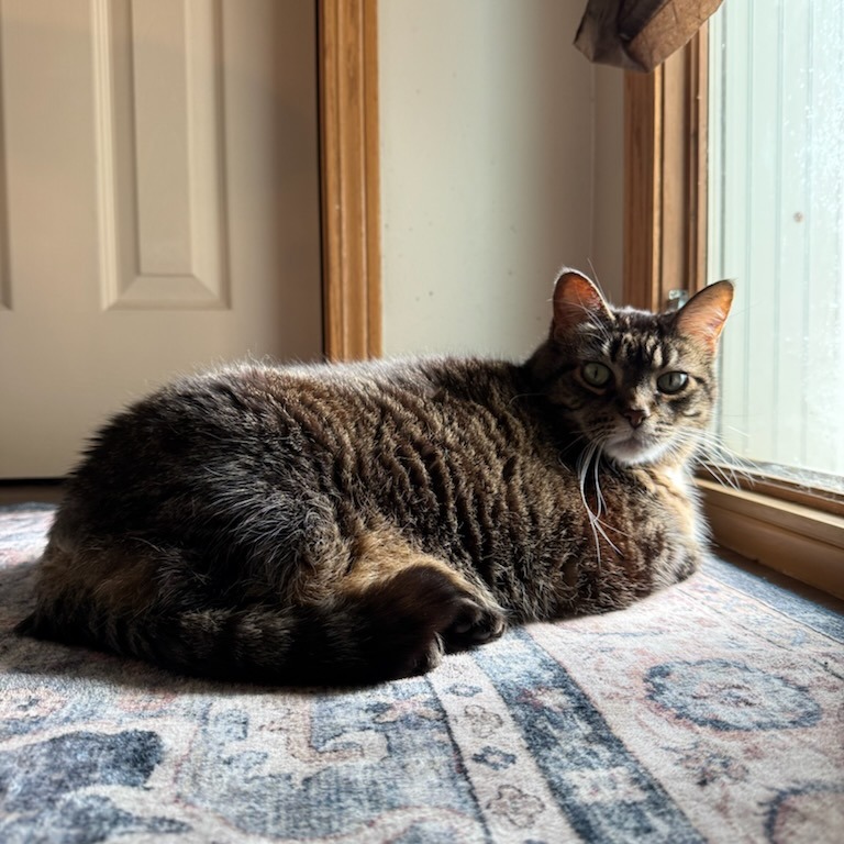 Presley--In Foster, photo 9