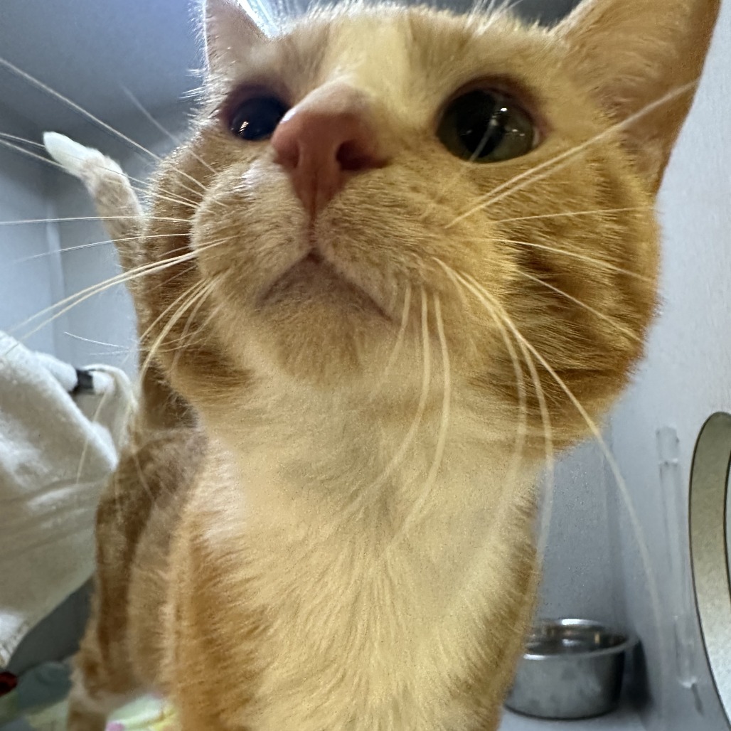 Photo of Theodore 5