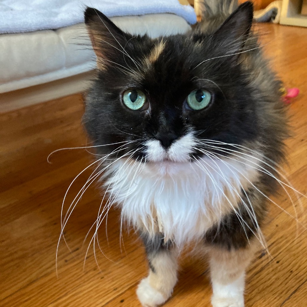 Leah, photo 29