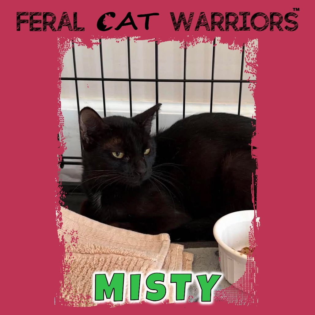 Misty