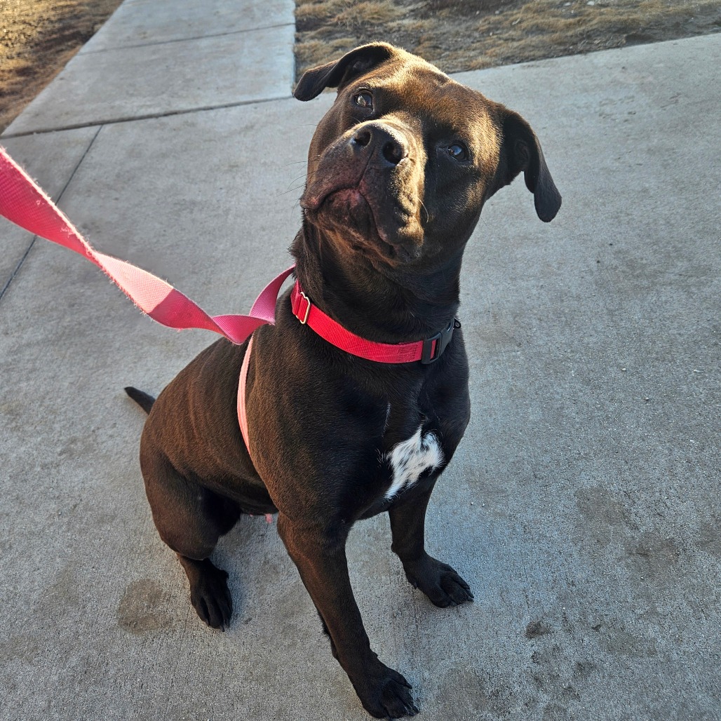 Miss Kokomo — thumbnail 5