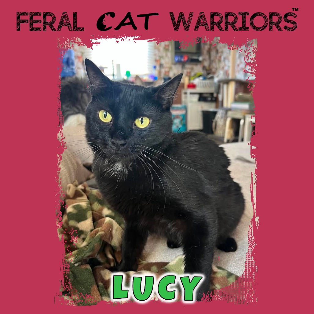 Lucy