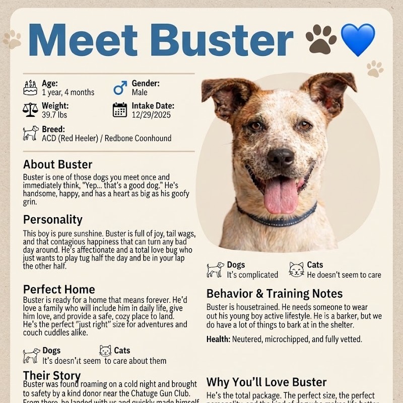 Buster, photo 19
