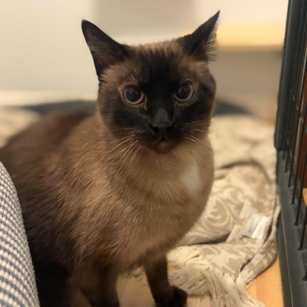 Photo of LUNA