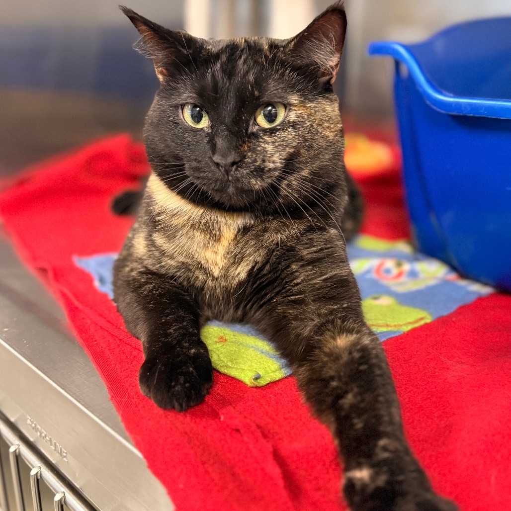 Solar, photo 8