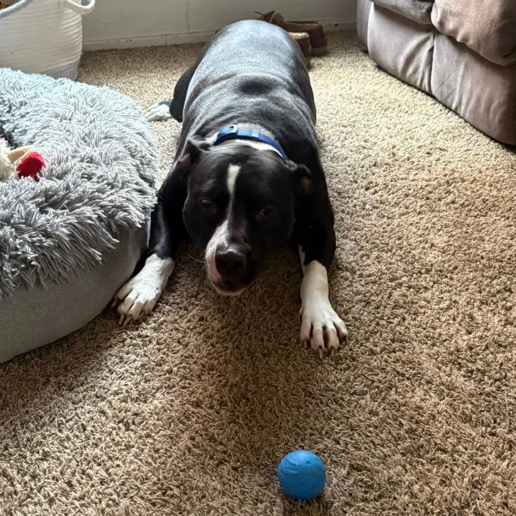 Photo of General Tso 86