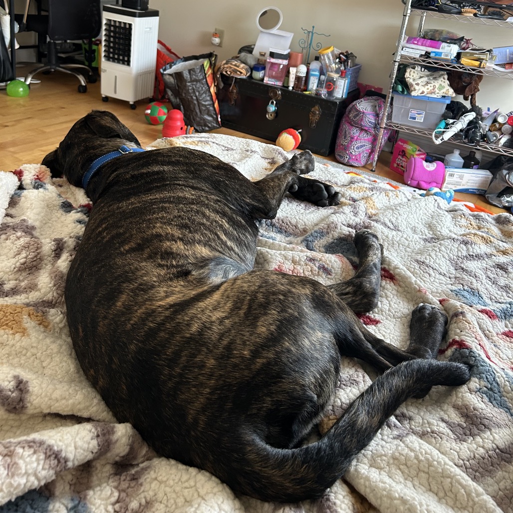 Earl, photo 17