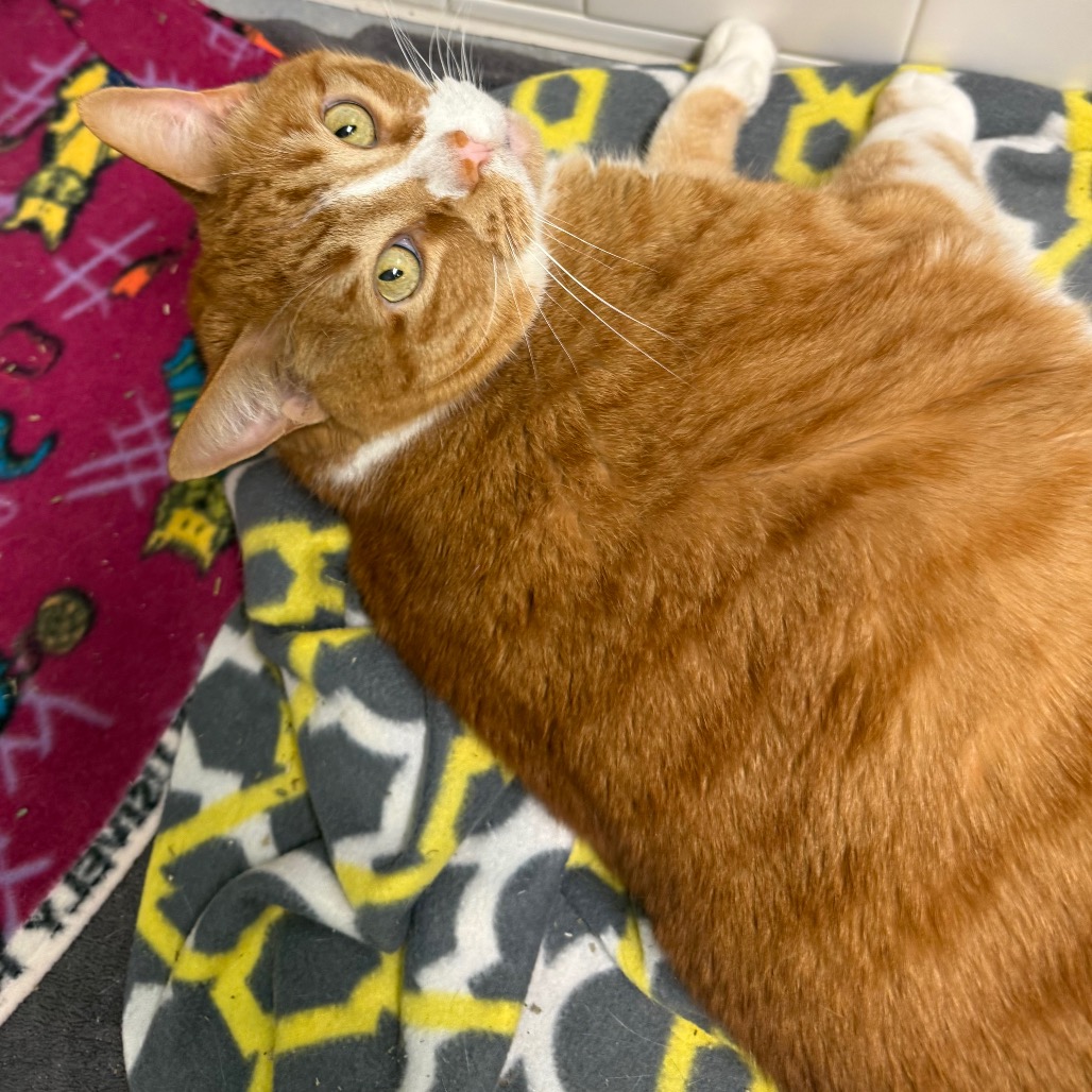 Photo of Freddy and QZ 10