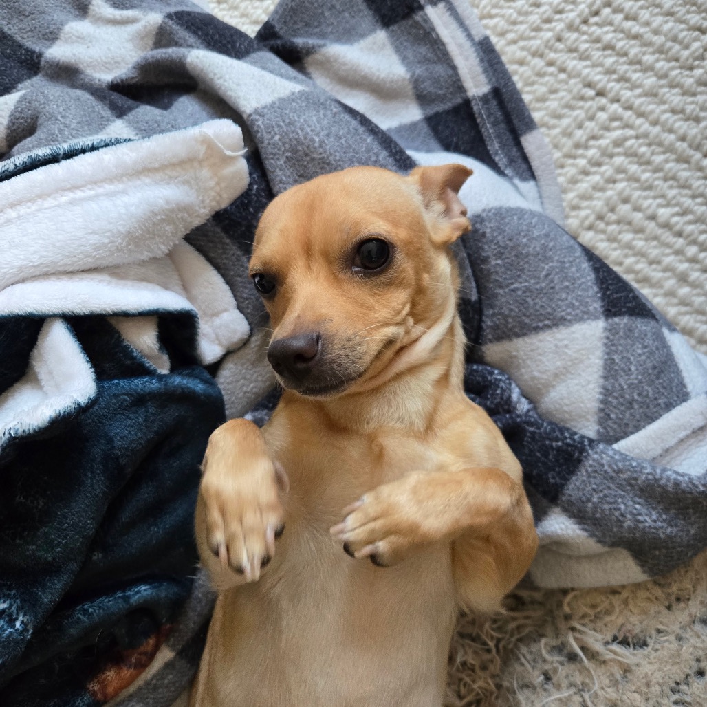 Little Bit — thumbnail 2