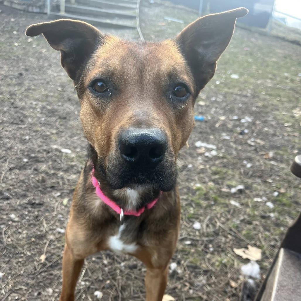 Mr. Sideways — thumbnail 6