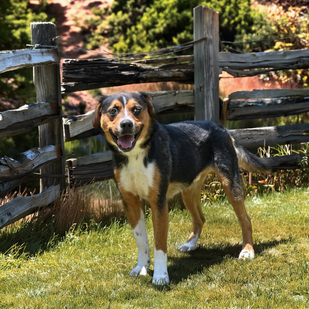 Photo of Casen