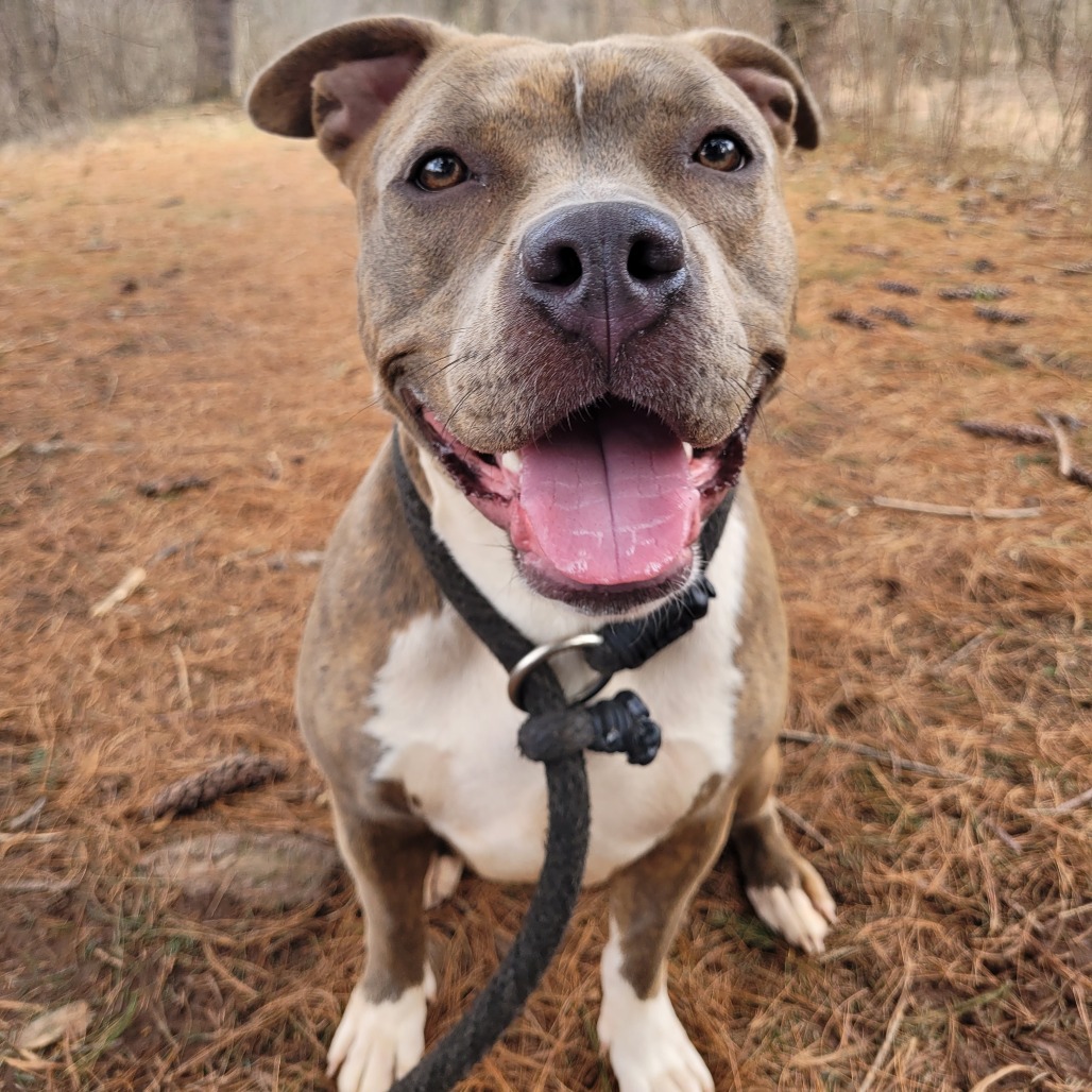 b60d59ba4fbb62bb20741784599620aa