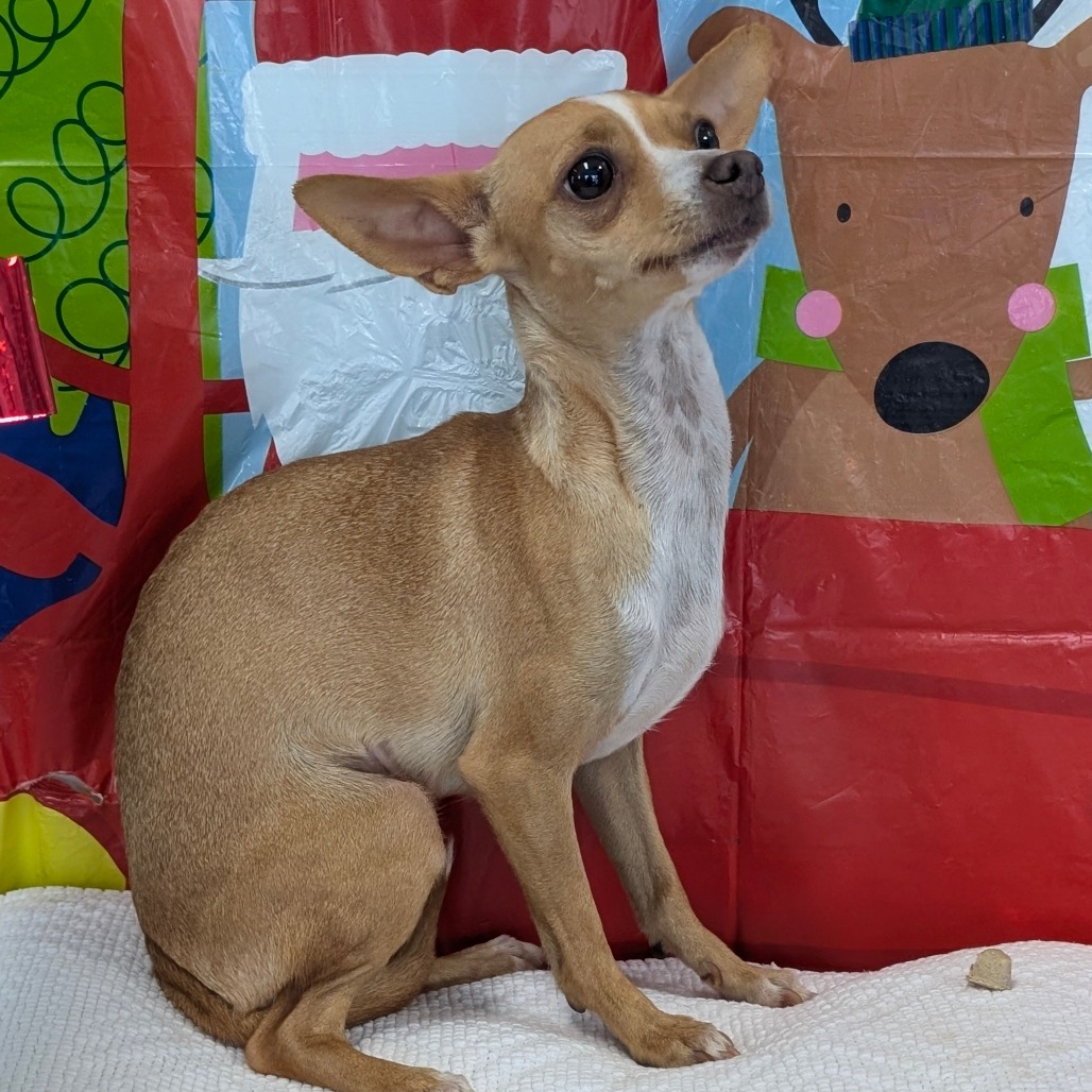 Doodle — thumbnail 3