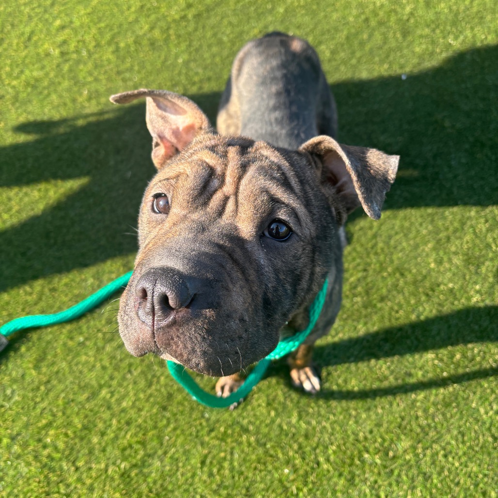 Smooches — thumbnail 5