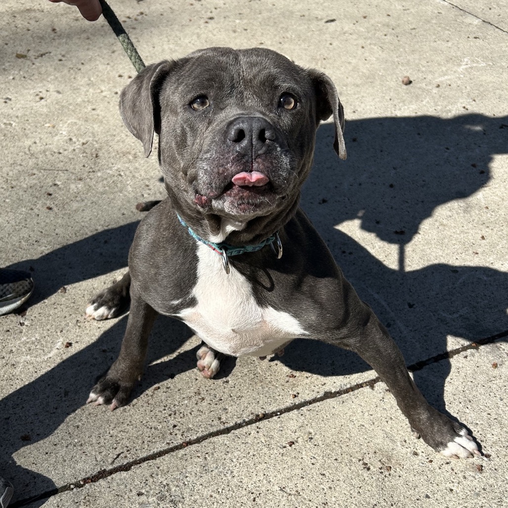 Sandy — thumbnail 4