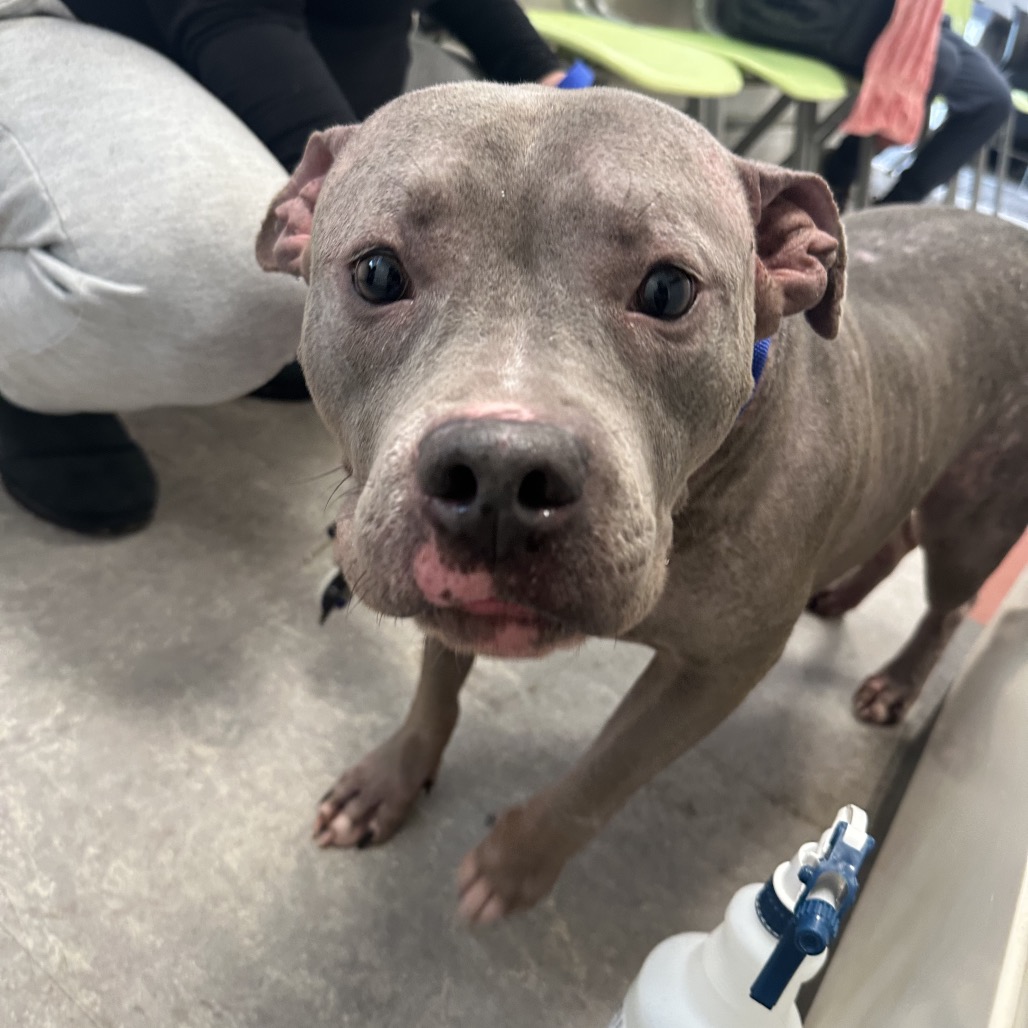 Jordan — thumbnail 2