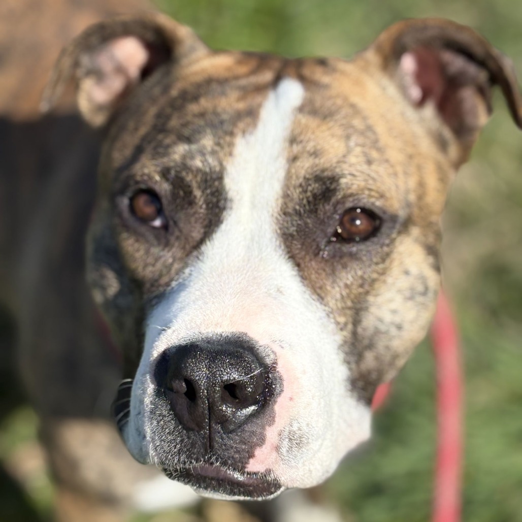 KATE — thumbnail 3