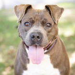 Kizzy — thumbnail 9