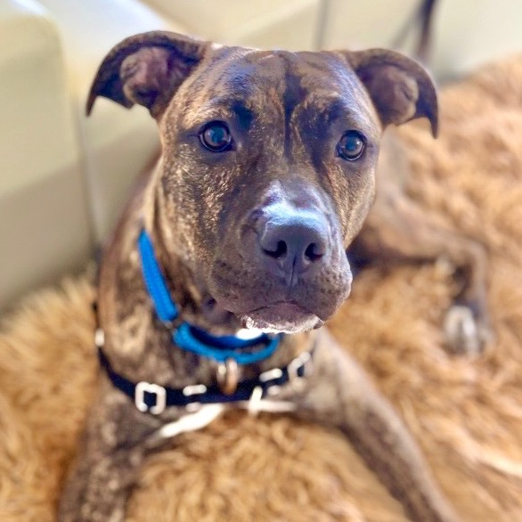 Full body shot of Jordan