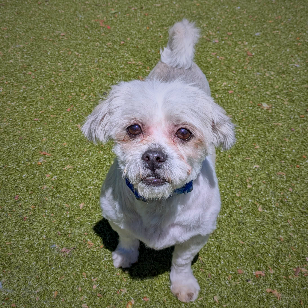 Wallace, additional photo