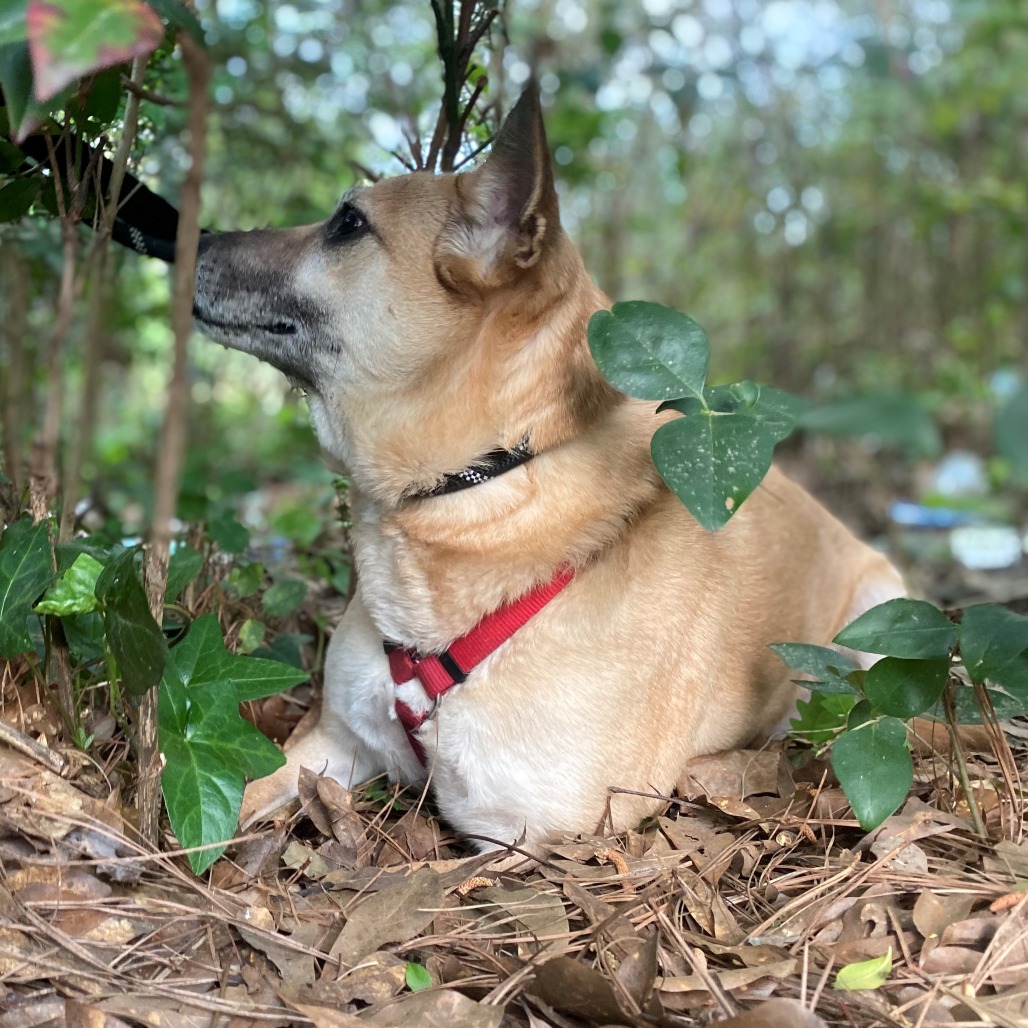 Jacey (I Have a Secret Crush!), additional photo