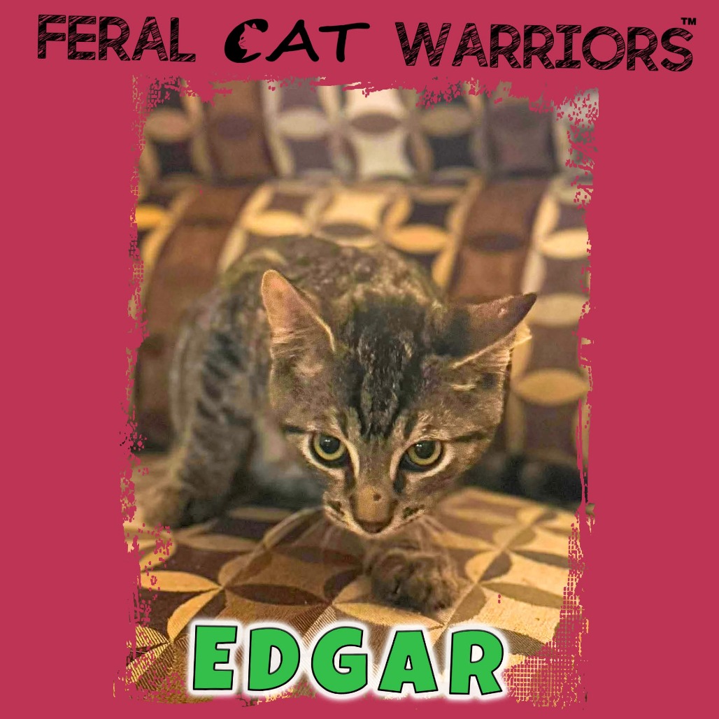 Edgar 