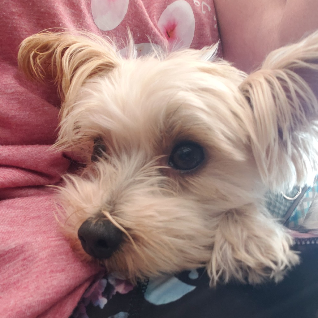Cooper photo