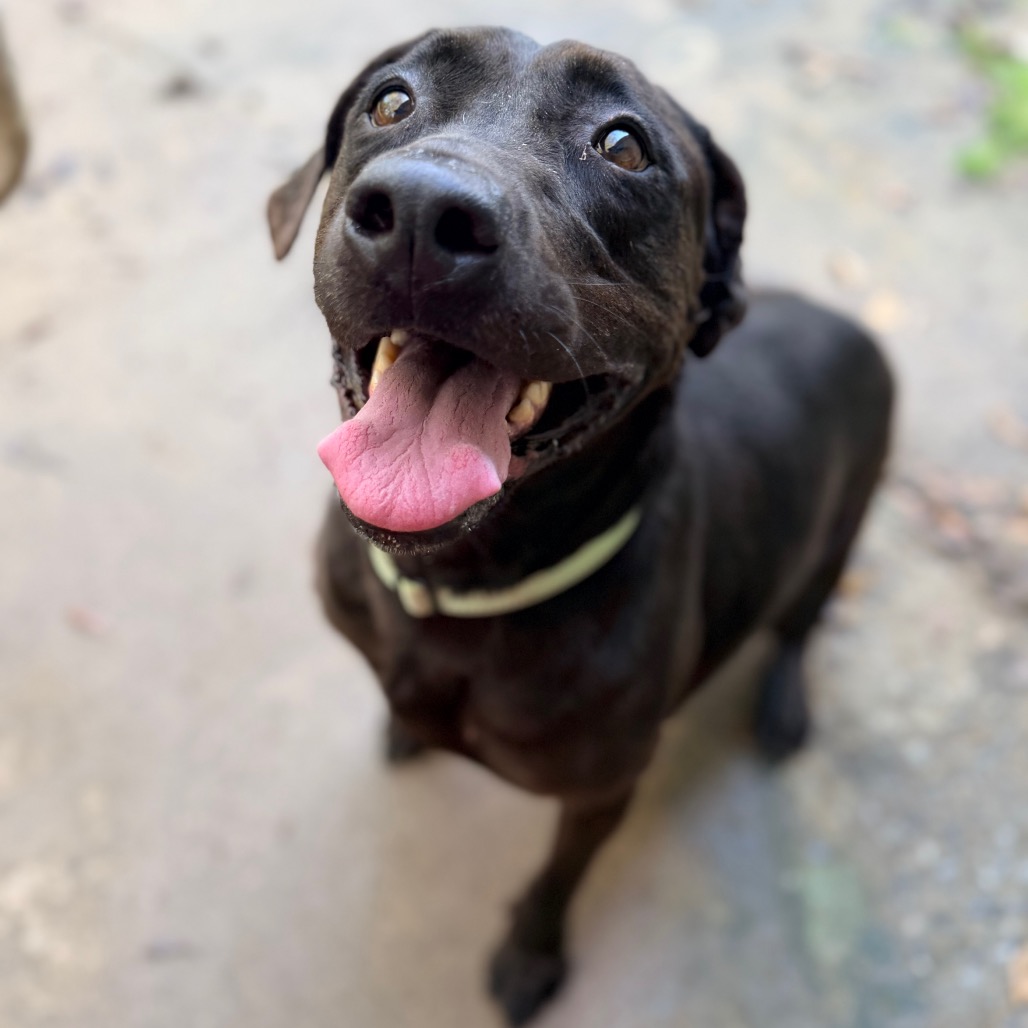 Delilah, photo 4
