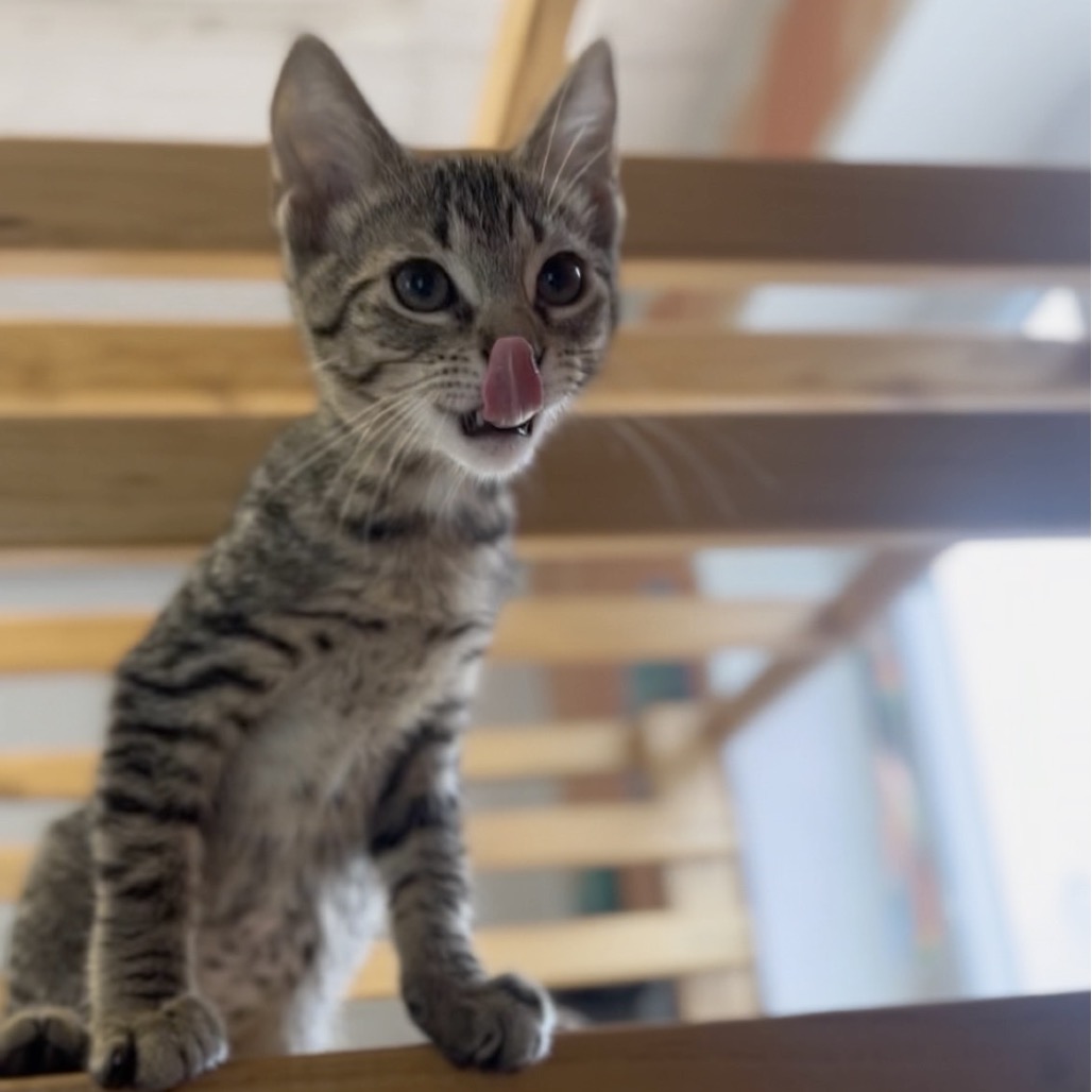Gilligan