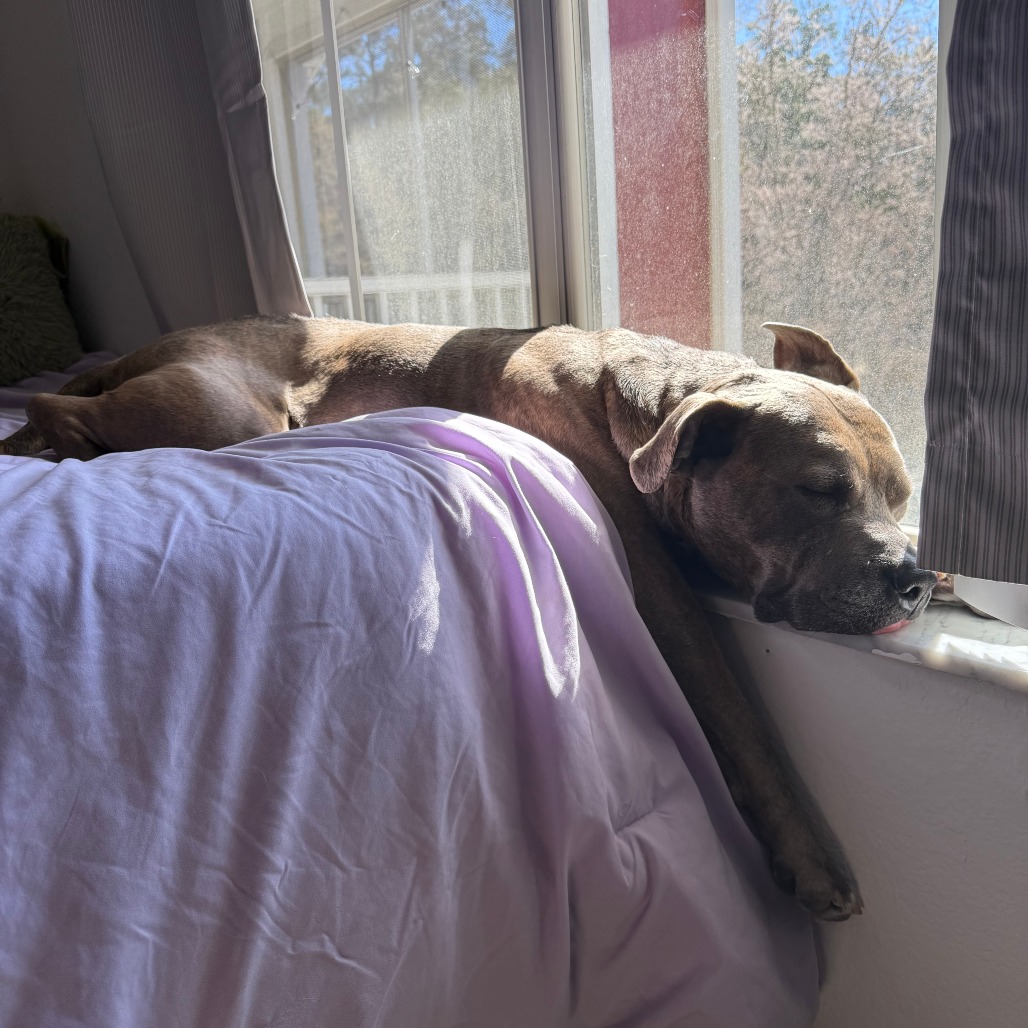 Gargy, photo 24