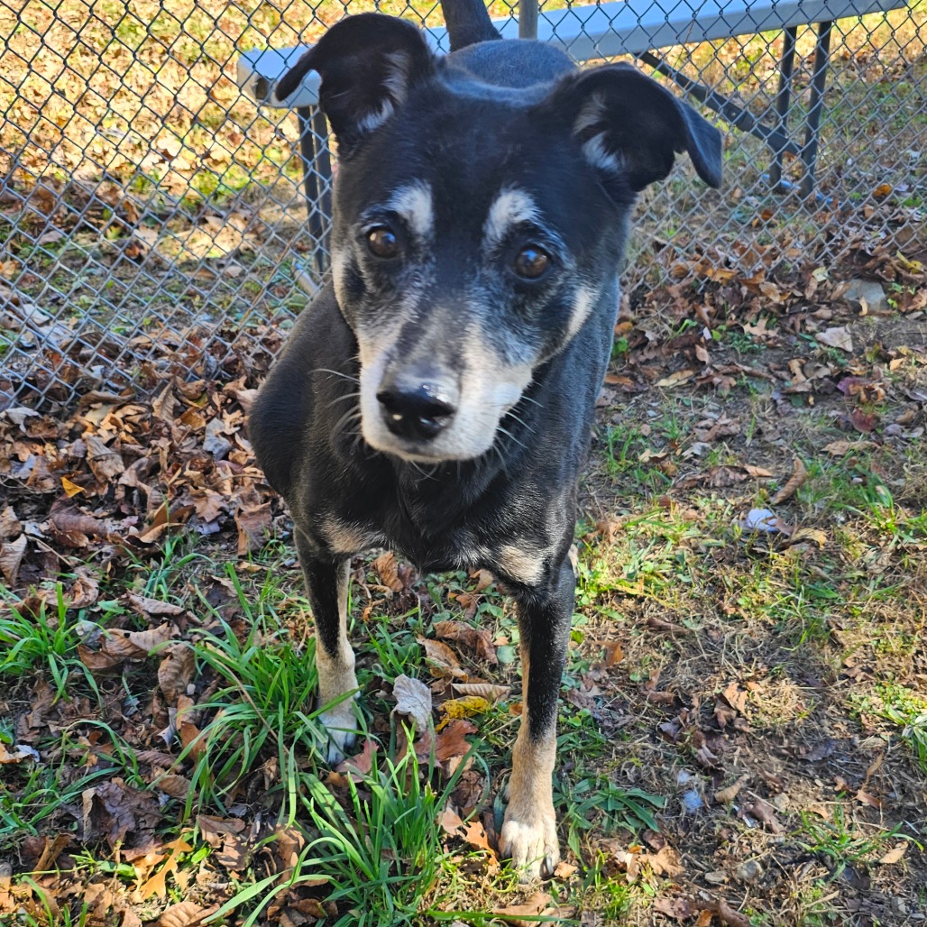 Rocco, photo 18