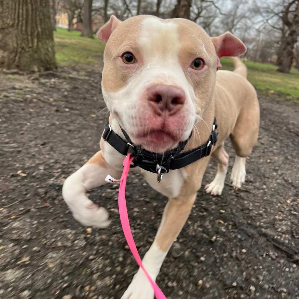 Photo of Tippy 4