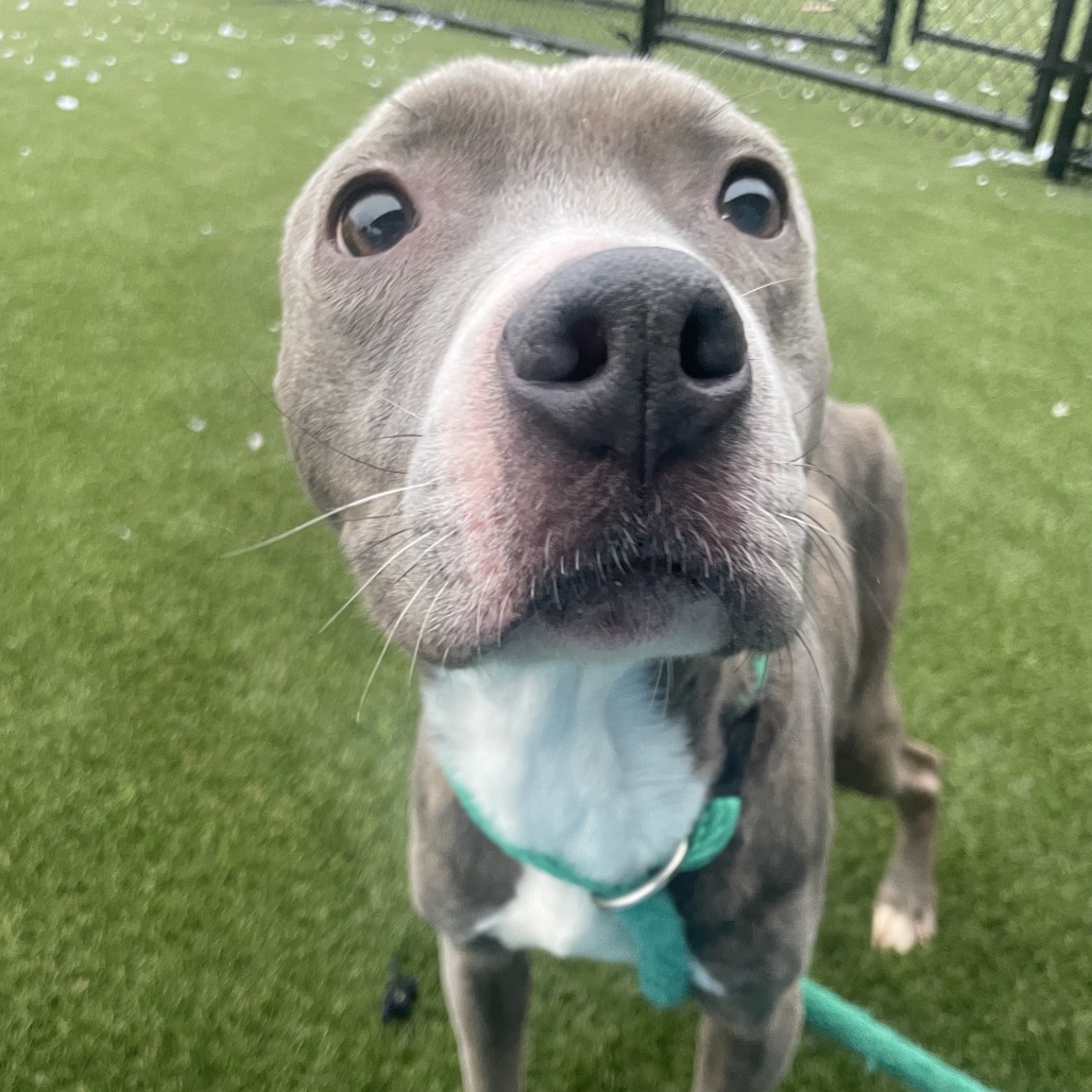 Syria — thumbnail 4