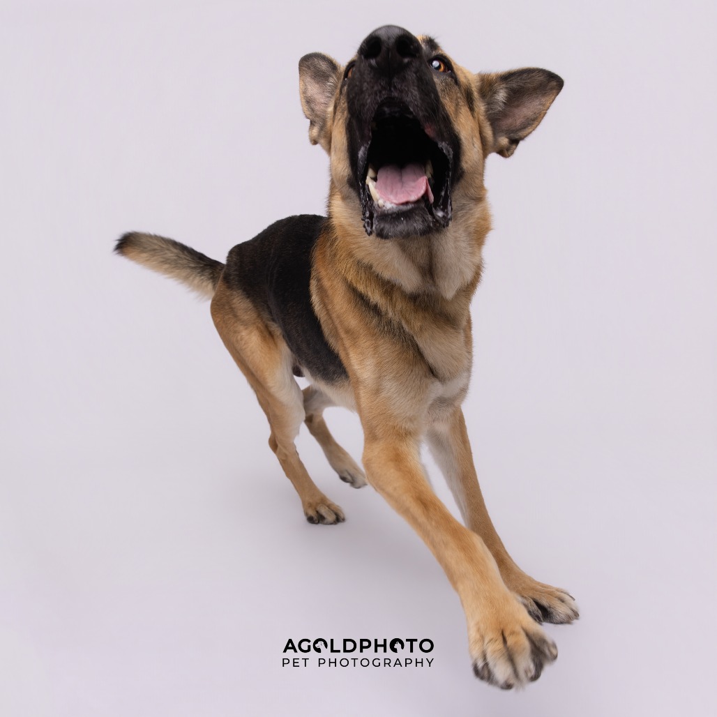 Titan — thumbnail 4