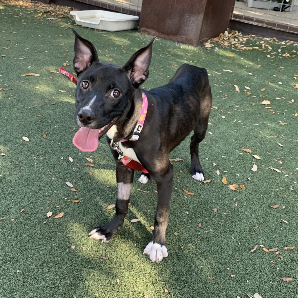 Keke — thumbnail 9