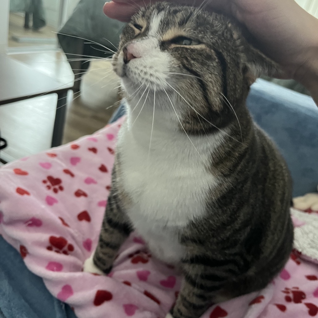 Winnie, photo 9