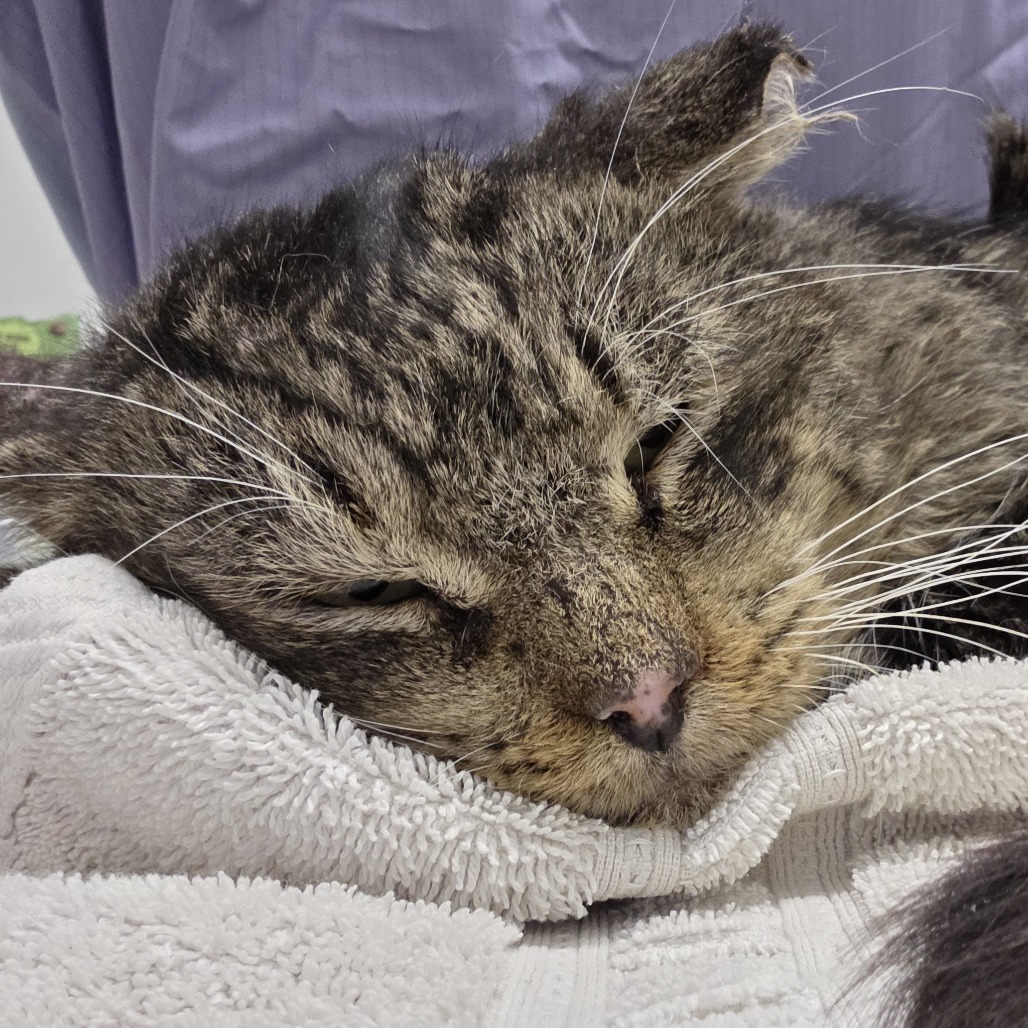 Kroger — thumbnail 2