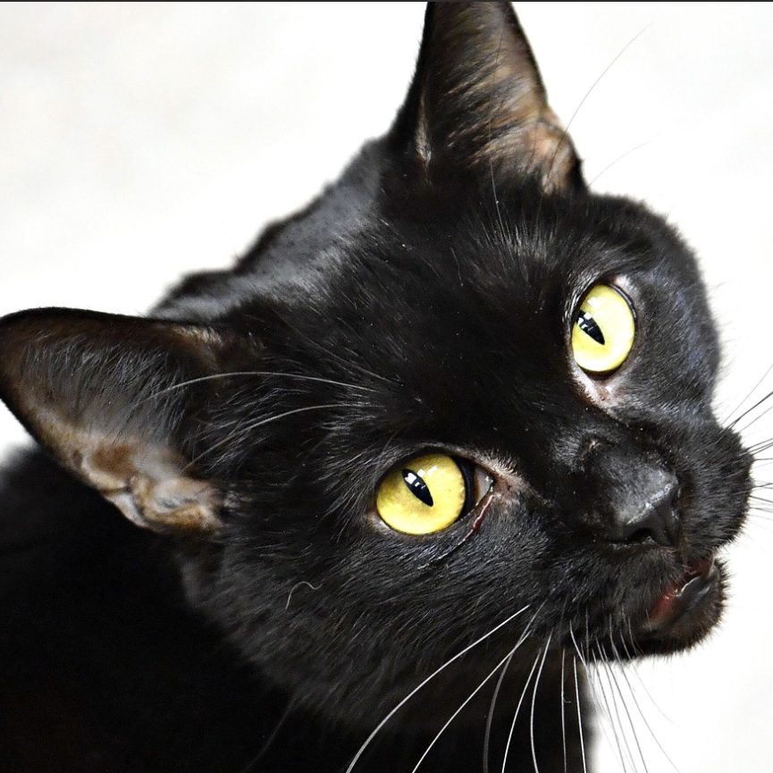 ee3455d444edd989a26ccca2deda0a56