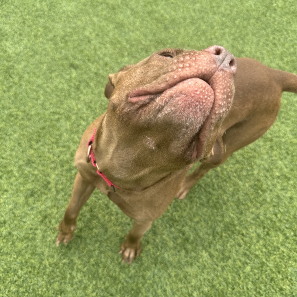 Photo of Kayak 3