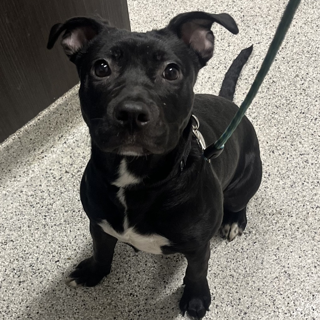 Babybel — thumbnail 2