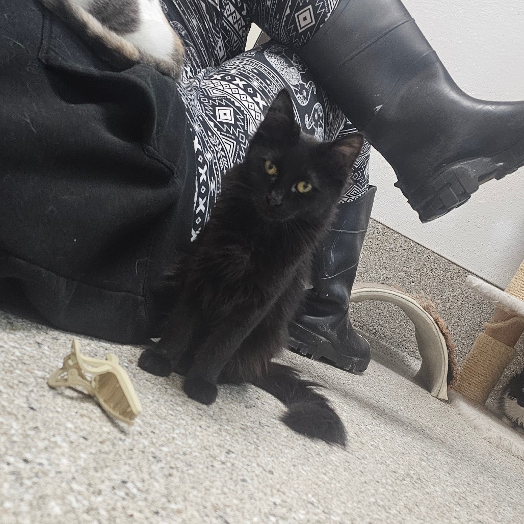 Luca — thumbnail 2