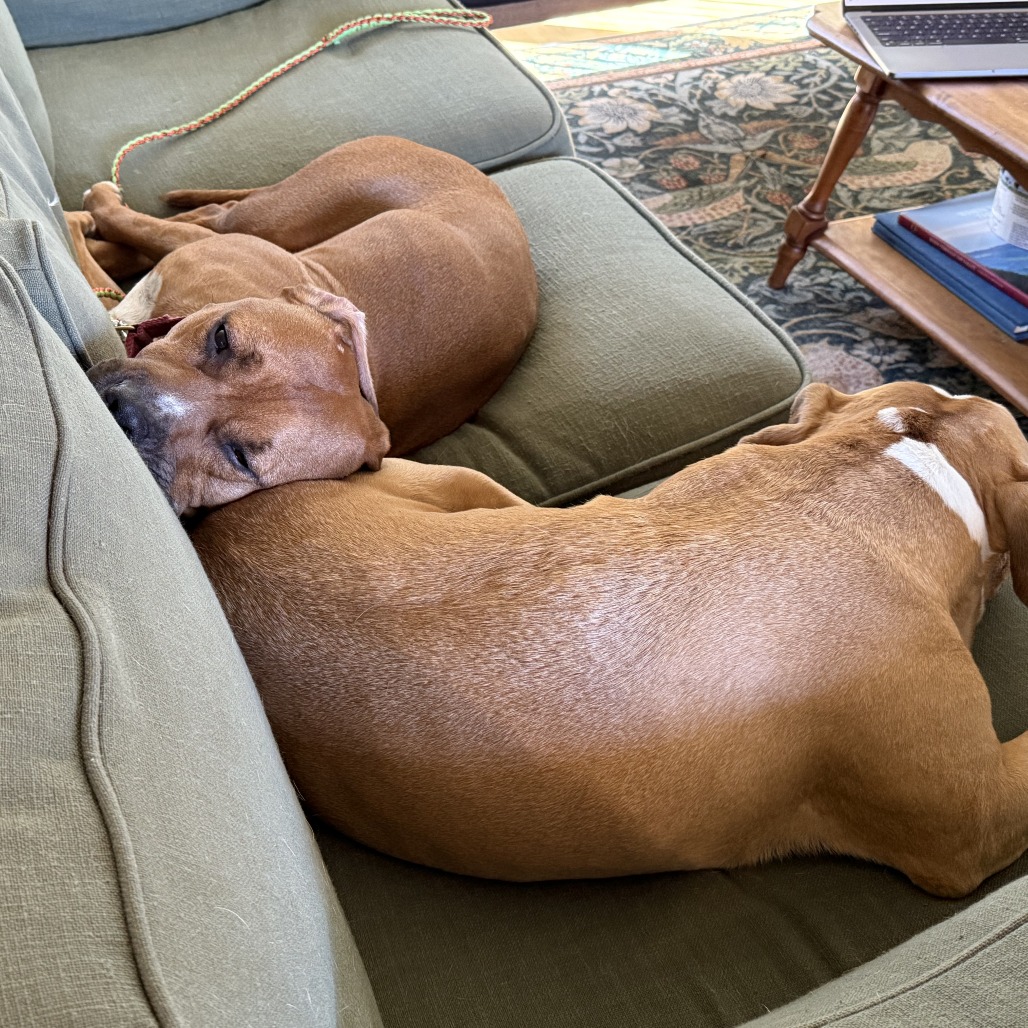 Tomlin — thumbnail 10