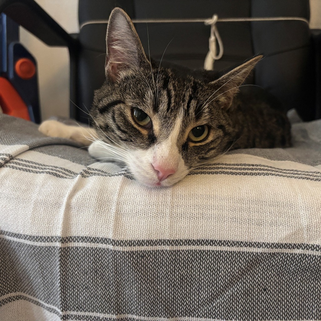 Carl, photo 12