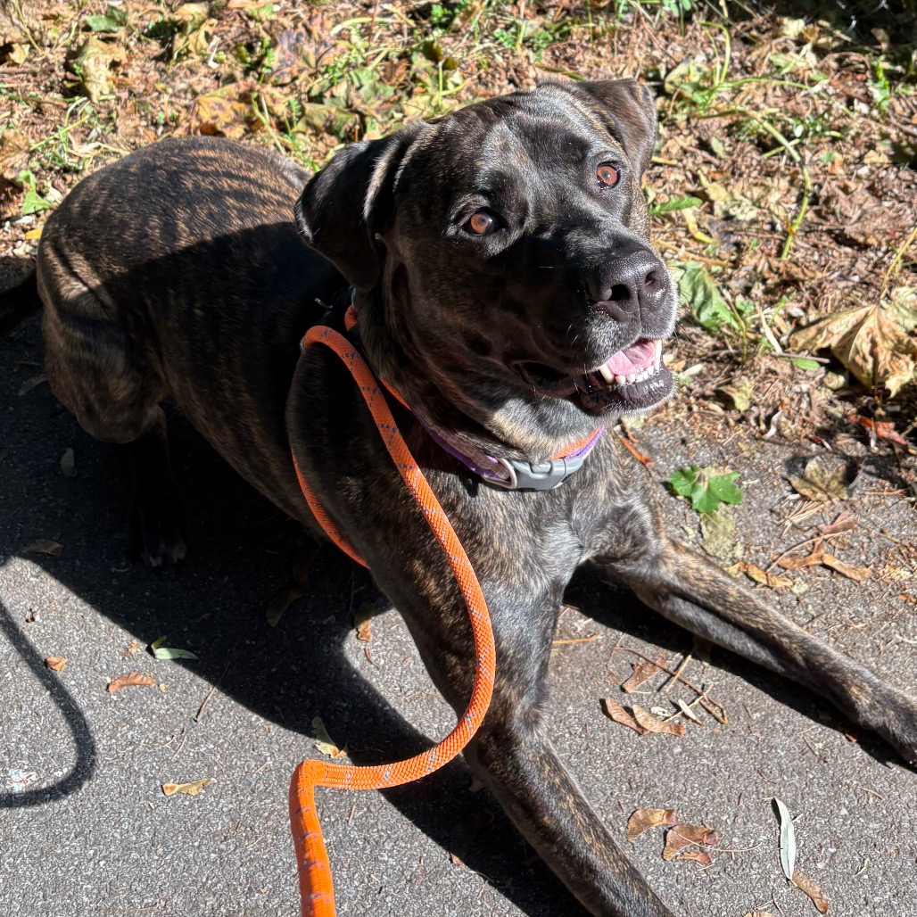 Earl, photo 27