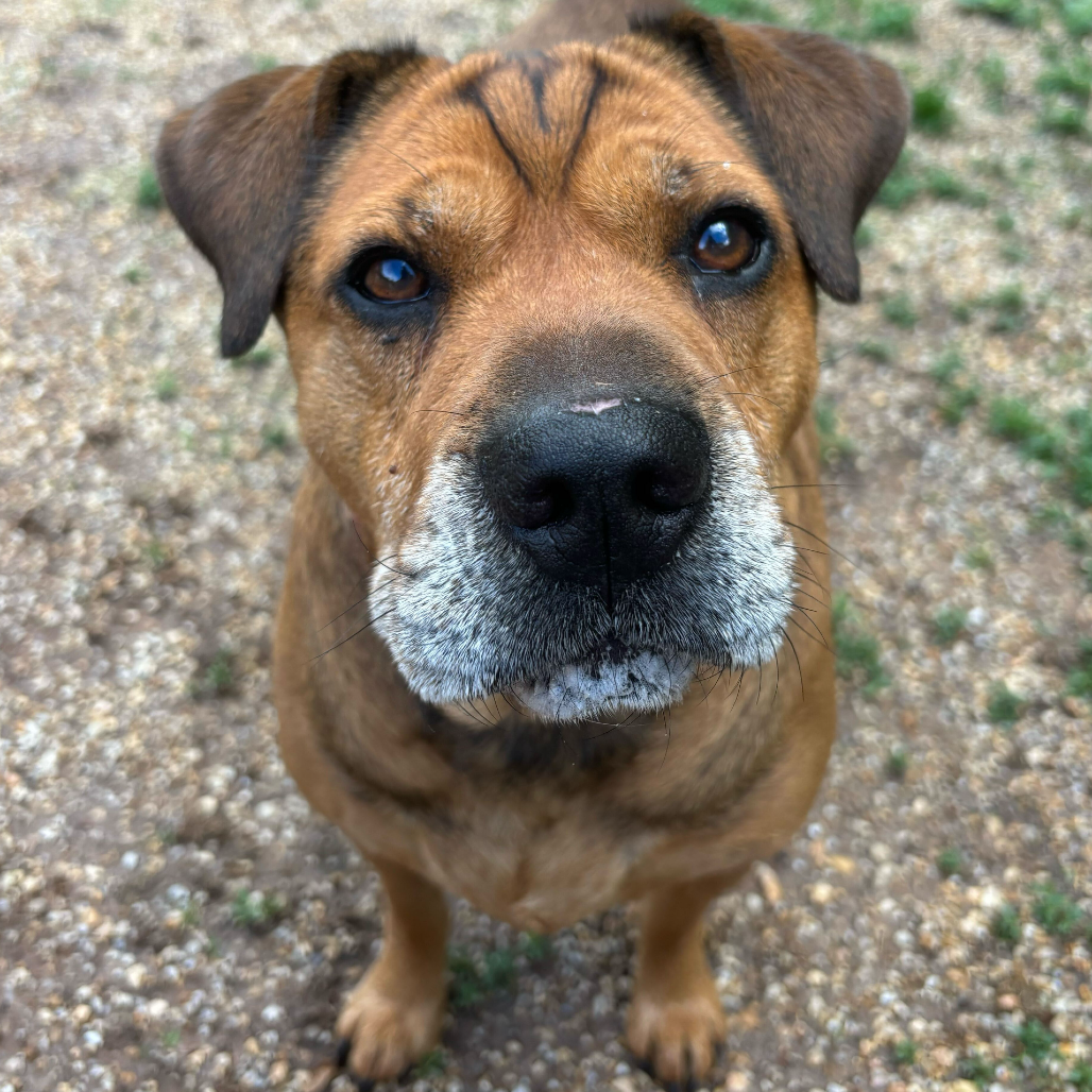 Zoey, photo 12