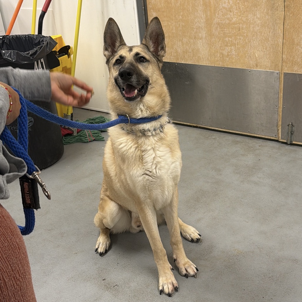 Hooch — thumbnail 5