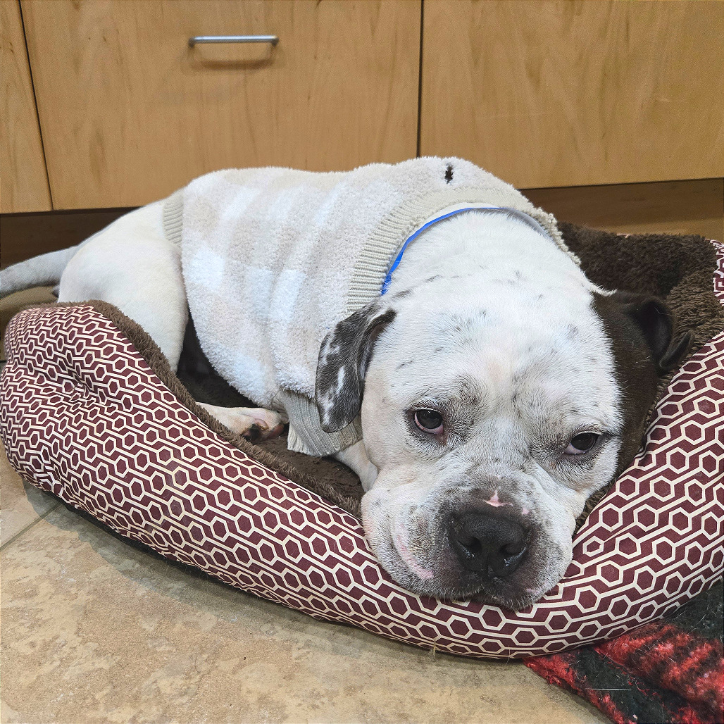 Low Rida — thumbnail 4