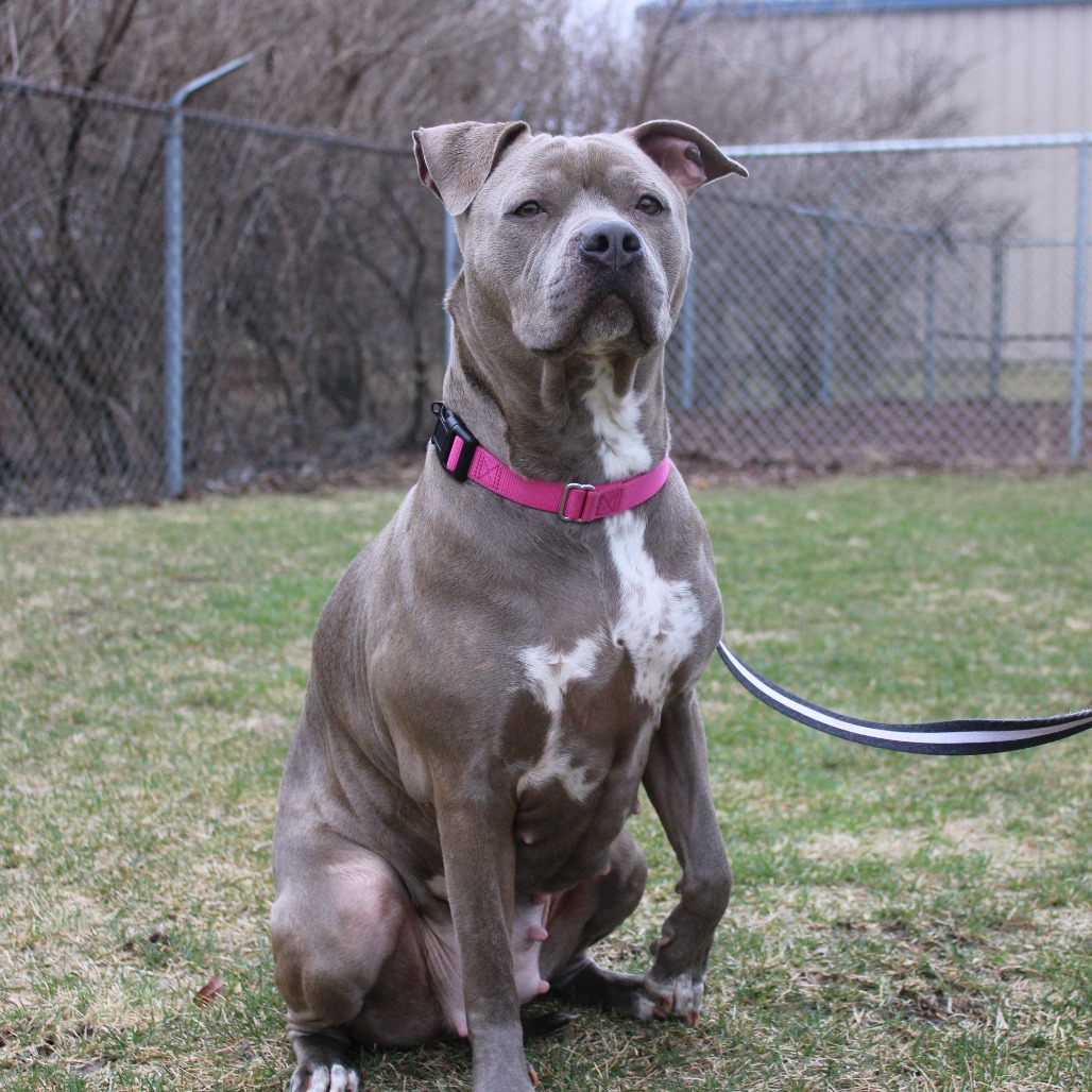 Skyrim — thumbnail 2