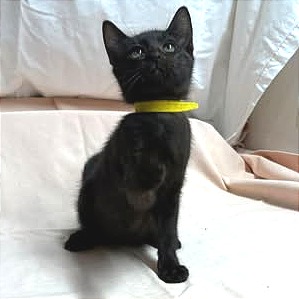 Penelope, photo 8