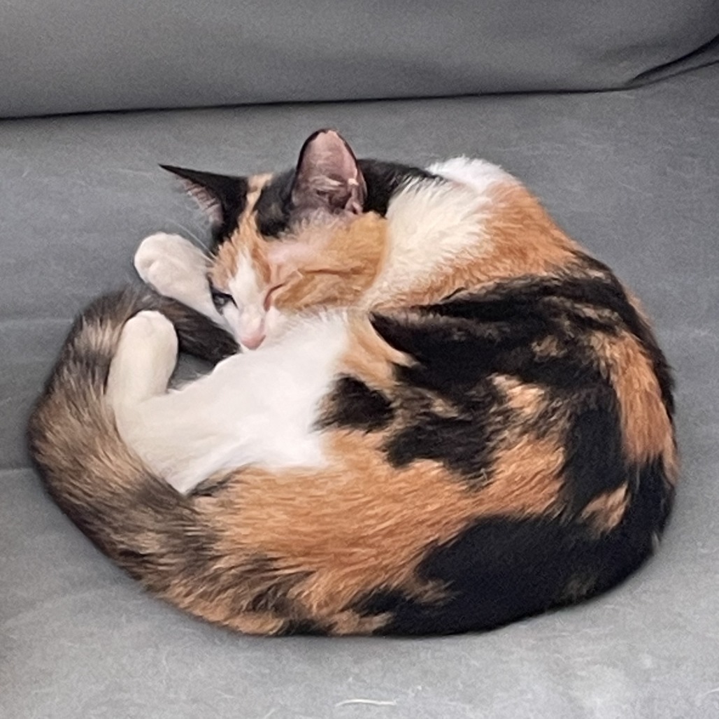 Gaia — thumbnail 5